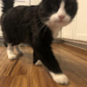 Meet your Posher, Zola
